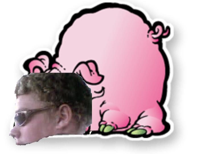 gordiethepig.jpg